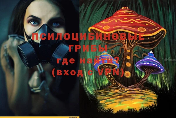 стафф Абдулино