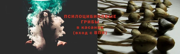 mix Абаза