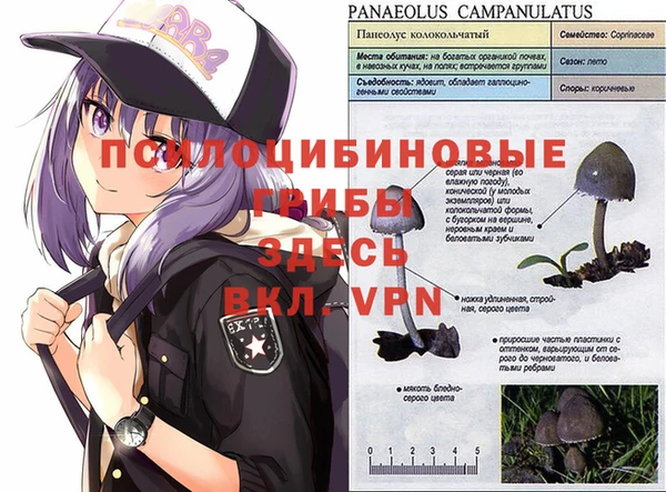 меф VHQ Алзамай