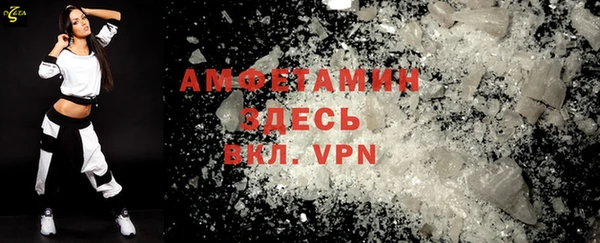 шишки Алексин