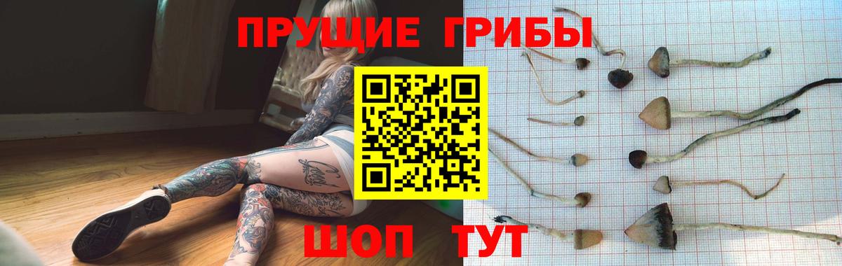 Псилоцибиновые грибы Magic Shrooms  Вход с VPN  Галлюциногенные грибы Psilocybine cubensis  Тула 